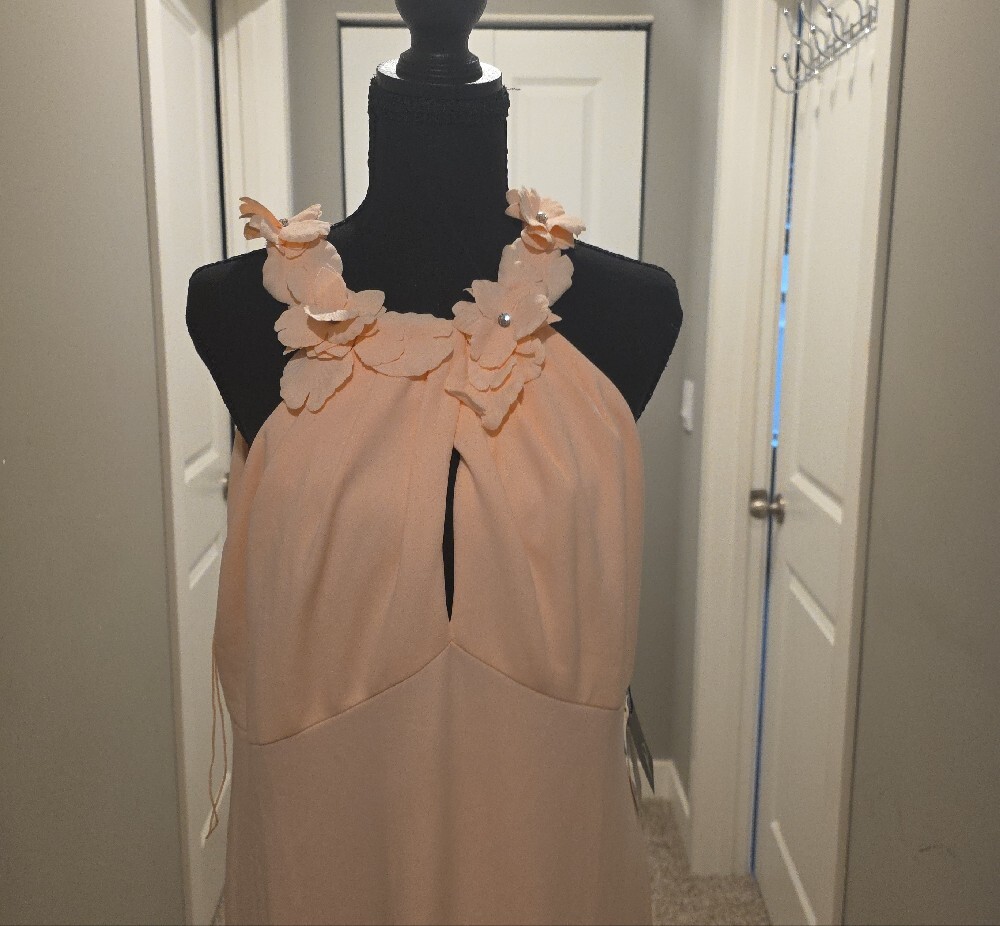 Adrianna Papell Blush Peach Kiss  Floral Halter Maxi Dress - Picture 6 of 13